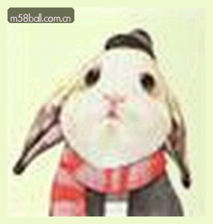张伟